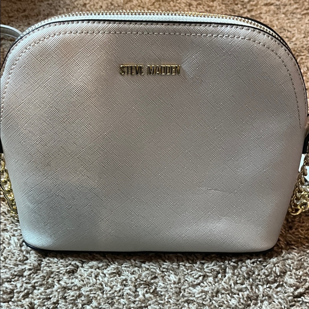 Steve Madden Metallic Crossbody Bag